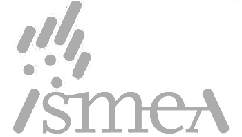 MapsGroup-clienti-Ismea_grey_